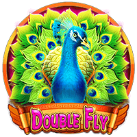  Double Fly
